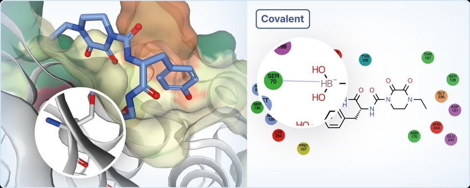 히츠, AI 신약 개발 플랫폼 '하이퍼랩'에 공유결합 연구 기능 정식 출시 - 뉴스 썸네일 이미지