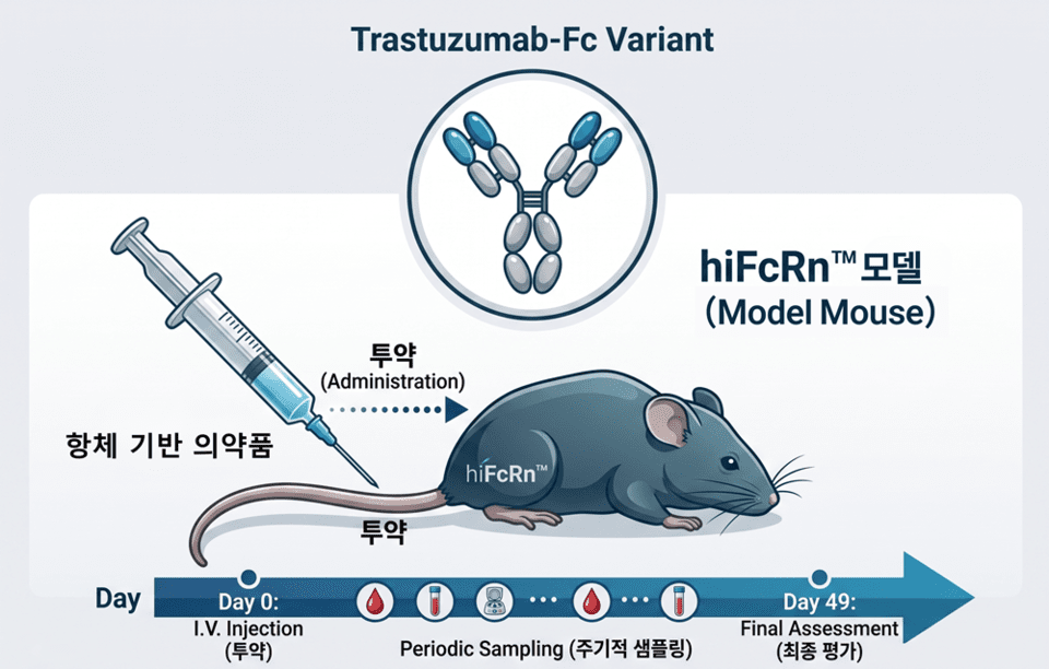 젬크로, 항체 평가용 인간화 마우스 모델 'hiFcRn™' 영국 수출 성공 - 뉴스 썸네일 이미지