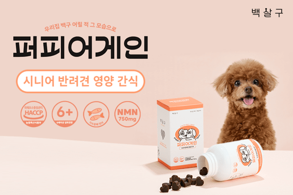 케이뷰티월드와이드, 시니어 반려견 케어 브랜드 '백살구' 출범... NMN 간... - 뉴스 썸네일 이미지