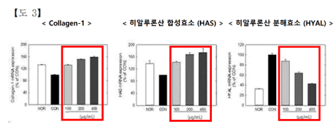 뉴트리원 비비랩, 'SF3X-7' 피부 보호·재생 기술 특허 등록...이너뷰티... - 뉴스 썸네일 이미지